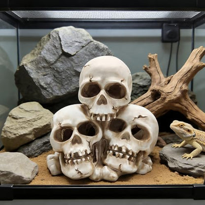 Resin Skull Aquarium Ornament, Hide Cave for Fish & Reptile Tank | Hide house for betta fish and reptiles to play, spacious resting cave, Halloween decor for aquarium and reptile tank