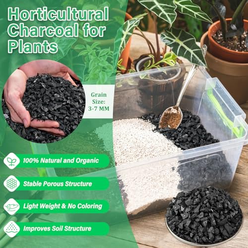 Legigo 6QT All Natural Horticultural Charcoal- Activated Hardwood Plant Charcoal for Soil Amendment, Conditioning Bonsai Soil, Succulent Soil, Terrarium Supplies, Indoor Plant Potting Soil - color: 6 QT