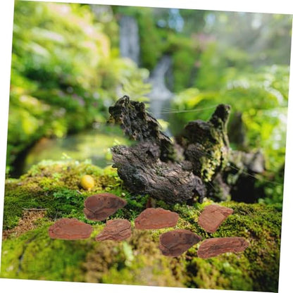 Totority 1bag Terrarium Bark Chips Bedding for Reptiles Natural Decorative Substrate for Tank and Aquarium Safe Rustic and Easy to Arrange for Snakes Lizards and Turtles Lb