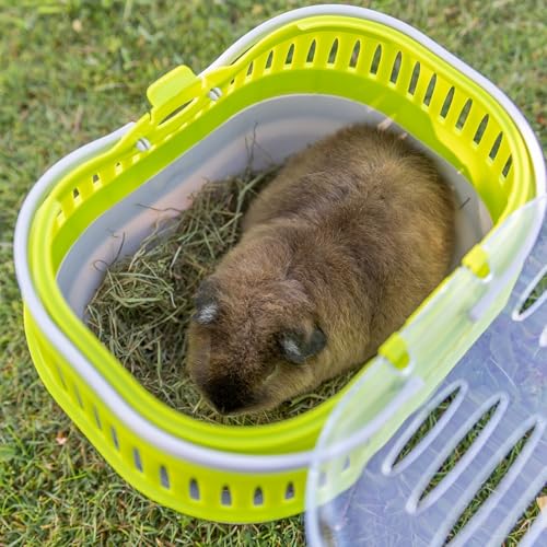 Trixie Pico Transport Crate - Portable Pet Carrier Great for On-The-Go - Traveling Cage for Small Pets, Hamsters, Guinea Pigs, Lizards, and More - size: 7.1"L x 5.1"W x 4.7"H