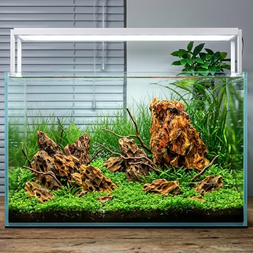 Eorbow 12lbs Natural Dragon Stones, Decorative Aquarium Rocks, Large Fish Tank Rock for Terrariums Aquarium Landscaping Paludariums Reptile Enclosures Bonsai Gardens, Mixed Sizes 6-12 Inches