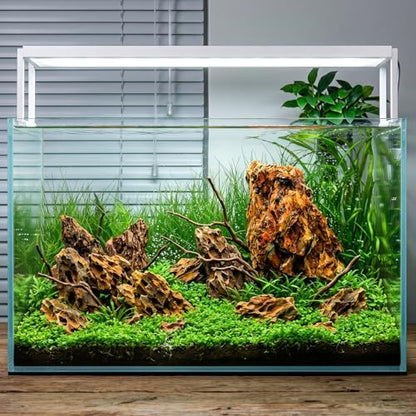 Eorbow 12lbs Natural Dragon Stones, Decorative Aquarium Rocks, Large Fish Tank Rock for Terrariums Aquarium Landscaping Paludariums Reptile Enclosures Bonsai Gardens, Mixed Sizes 6-12 Inches