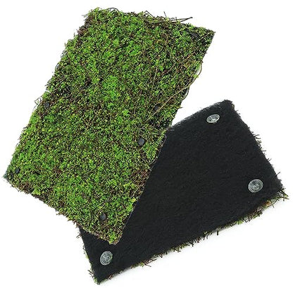 AQUA KT Reptile Moss Background Backdrop Wall Artificial Terrarium Habitat Amphibian Cage Decoration for Lizard Bearded Dragon Snake Tree Frog Chameleon Climbing, Pack of 4