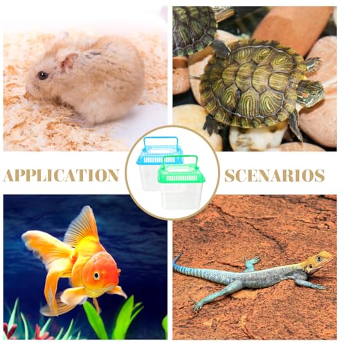 Transparent Pet Box for Reptiles and Small Animals 4.84X4.84X4.13 Inch Climbing Pet Feeding Container with Ventilation for Tortoise Gecko Habitat