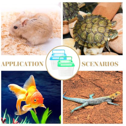 Transparent Pet Box for Reptiles and Small Animals 4.84X4.84X4.13 Inch Climbing Pet Feeding Container with Ventilation for Tortoise Gecko Habitat