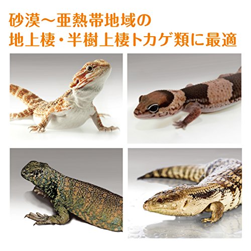 GEX EXOTERRA Desert Sole, 4.4 lbs (2 kg), Reptile Breeding Sole, Deodorizing, Moisturizing, Easy to Clean, Natural Material