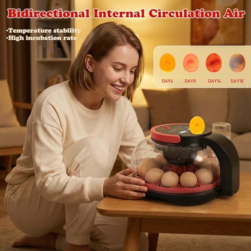 Automatic Egg Incubator for 12 Chicken Eggs with Camera APP Control | Temperature & Humidity Monitor, Auto Egg Turner, Record Life's Birth Moments for Chicken Duck Quail Pigeons