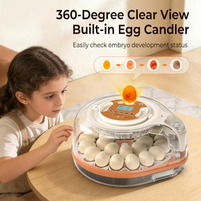 Incubators for Hatching Eggs with Smart Voice Assistant, 26 Eggs Incubator with Automatic Egg Turner and Humidity Control, LED Egg Candler, Incubation Days Display, for Chicken, Duck, Goose, Bird Eggs - size: 26 Chicken Eggs with Voice Assistant