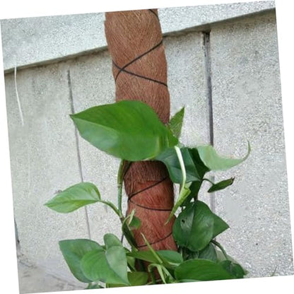 PRETYZOOM 5 Sheets Realistic Artificial Tree Bark for Garden Decor Natural Palm Bark Background for Flower Pots Versatile Aquatic Fish Fry Hatching Wide Long