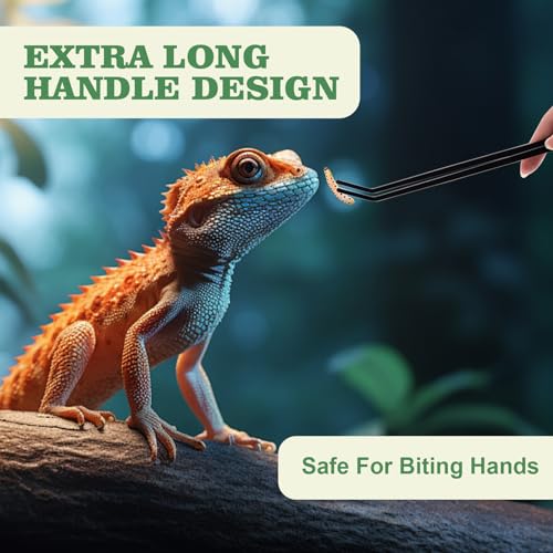 Reptile Feeding Tongs Kit, 2Pcs Extra Long Stainless Steel Reptile Feeding Tongs, 1Pcs Feeding Spoon, Small Animal Feeder Tool for Lizards, Crested Geckos, Bearded Dragons - color: Feeding Set