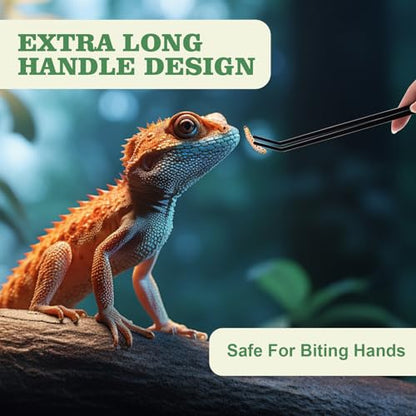 Reptile Feeding Tongs Kit, 2Pcs Extra Long Stainless Steel Reptile Feeding Tongs, 1Pcs Feeding Spoon, Small Animal Feeder Tool for Lizards, Crested Geckos, Bearded Dragons - color: Feeding Set
