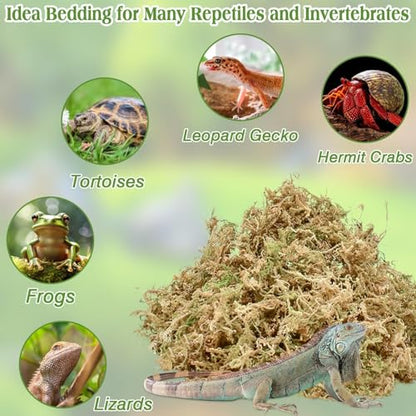 Halatool 3.5OZ Natural Sphagnum Moss for Reptiles Premium Reptile Moss Ideal Terrarium Moss for Box Turtles Hermit Crabs Leopard Gecko Snakes and Hamsters Enclosure - size: 3.5oz