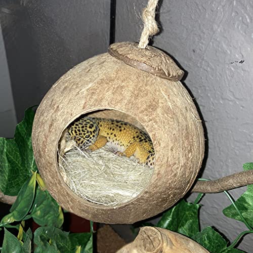 4 PCS Crested Gecko Coconut Hide Natural Lizard Coco Hut Reptile Hanging Nest Flexible Vine Habitat Decoration Bearded Dragon Terrarium Accessories for Tortoise Chameleon Snake Spider - style: 【Style B】