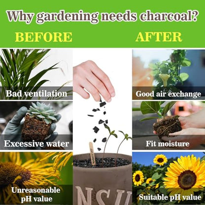 RAINFLOW Horticultural Charcoal for Plants - 290G Natural Earth Regulated Supplement for Potting Soil Indoor Plants, 3-5mm Succulent Soil, Organic Biochar, Paphiopedilum, Bonsai