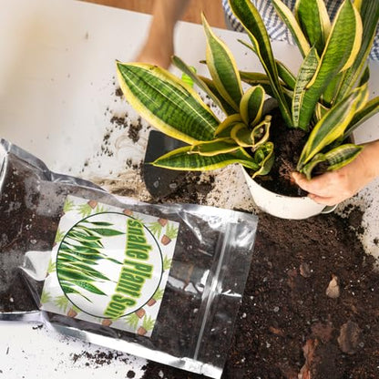 Doter Premium Snake Plant Soil Mix 1qt, Indoor Plants Potting Mix for All Potted Snake Plants, Promote Healthy Growth and Easy Care, black - size: 1qt