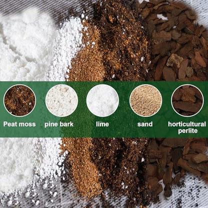 Doter All-Natural Potting Soil for Anthurium & Indoor Plants 10qt - Enhanced Drainage, No Additives | Premium Indoor Plant Soil Mix - size: 10qt
