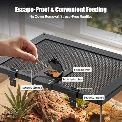 15 Gallon Fully Assembled Glass Reptile Enclosure, 20" x 12" x 14" | Escape-Proof Top Opening Terrestrial Reptile Terrarium Tank for Leopard Geckos, Corn Snakes, Frogs & Hermit Crabs - size: 20"L x 12"W x 14"H