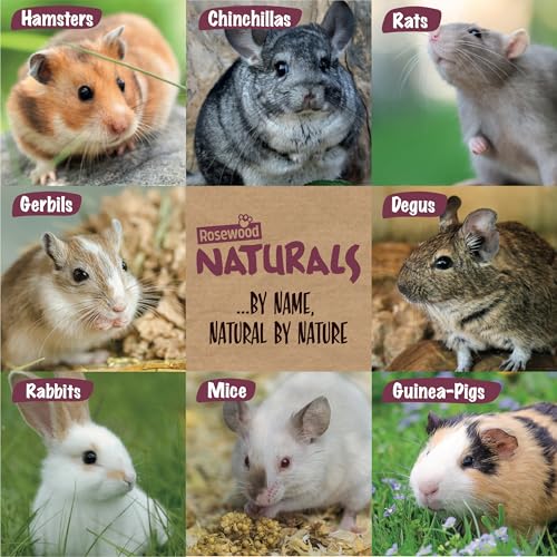Rosewood Pet 1 Pouch Herbal Garden Food For Small Animals, 100G