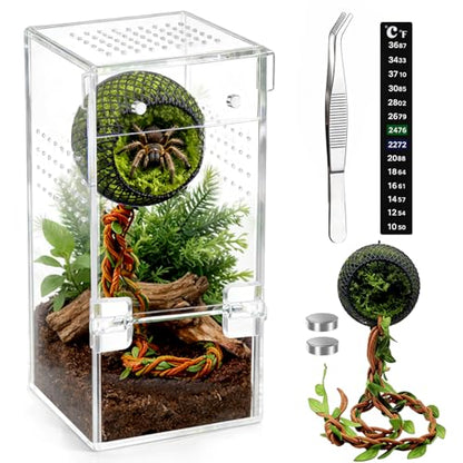 No Assembly Upgraded Acrylic Jumping Spider Enclosure Kit,Magnetic Closure Front Door & 3-Side Ventilation, with Tweezer &Thermometer Strips &Reptile hidepout,Ideal for Snail,Insect,Lizard,Tarantula - size: Habitat+Tweezers+Temperature strip+Hideout
