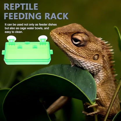 BESTonZON 2pcs Small Reptile Feeding Bowls with Suction Cups Escape-Proof Food and Water Dish for Geckos Lizards Bearded Dragons Terrarium Use