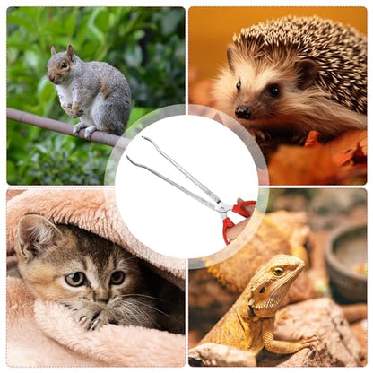 Reptile Feeding Tongs, 15 Inch Snake Feeding Tongs Anti-Skid Easy-Grip Extra Long Tweezers for Terrarium Corn Ball Python Accessories Axolotl Bearded Dragon Feeding Supplies