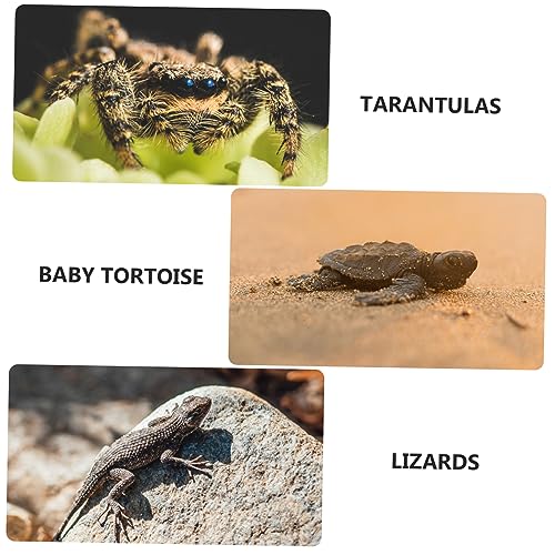 Yardwe Turtle Basking Platform Adjustable Floating Island with Suction Cups Multi-Functional Resting Terrace and Climbing Ramp for Aquatic Turtles and Reptiles Realistic Simulation Design