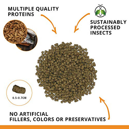 Fluval Bug Bites Goldfish Fish Food, Pellets for Medium to Large Sized Fish, 3.53 oz, A6584 (Pack of 2) - size: 3.5 Ounce (Pack of 2)