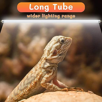 2PCS T5 UVB Reptile Light 8W 10.0,UVA UVB Light Bulb for Reptiles,Reptile UVB Lamp Tube for Bearded Dragon,12 Inchs - size: 2 pack T5 Tube-8W 10.0