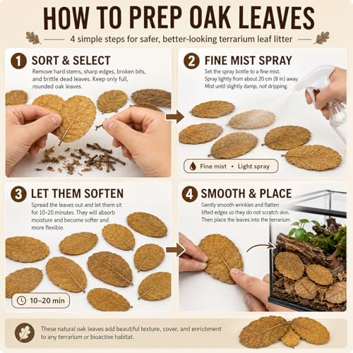 MAQIHAN Dry Oak Leaf Litter for Reptiles – 5 oz Whole Natural Oak Leaves Substrate for Isopods & Bioactive Terrarium Forest Floor Habitat, Premium Enclosure Bedding - size: 5 OZ