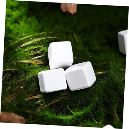 TOYANDONA 30Pcs Natural Mineral Calcium Blocks for Reptiles and Amphibians Enhances Turtle Tortoise Lizard Frog and Chameleon Dental Care and Water Quality Stabilization for Growth