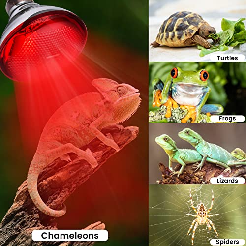 Heat Lamp for Chickens Coop Brooder and Reptile Heat Bulb 150 Watt Infrared Red Light