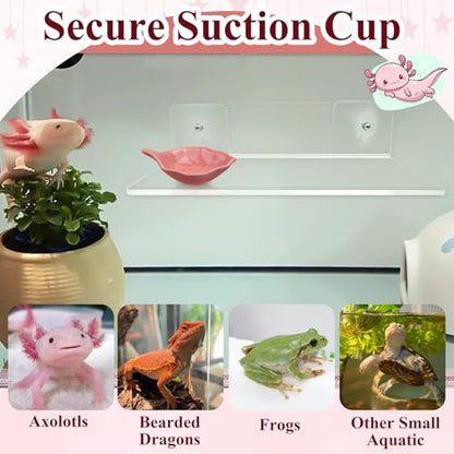 Axolotl Hammock Ledge for Aquarium with Feeding Dish Ceramic Tray Suction Cup and Feeding Tweezer Axolotl & Bearded Dragon Aquarium Accessories Kit (7.8 x 3.9in)