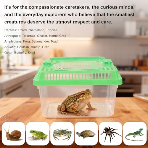 20 Pack Small Plastic Reptile Carrier, Tarantula Enclosure Breeding Box with Handle and Ventilation Lid, for Spider Lizard Turtle Hermit Crab Fish, 5.1 x 3.5 x 3.5 Inch, Multi-Color