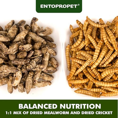 Dried Mealworms and Crickets - Higher in Calcium Bearded Dragon Food, 5 oz - size: 5 Ounce (Pack of 1)