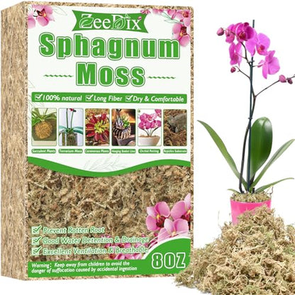 ZeeDix 8 oz Sphagnum Moss for Indoor Plants, Natural Orchid Potting Mix for Repotting, Dried Long Fiber Sphagnum Peat Moss for Carnivorous Plants Succulents Reptile Habitats (Expands to 12 qt) - size: 8 ounces