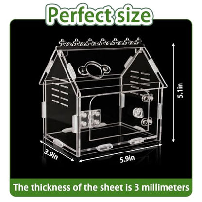 Jumping Spider Enclosure - 5.9"x3.9"x5.1" Magnetic Acrylic Terrarium Kit for Tarantula, Mantis and Reptiles, Escape-Proof Habitat with Secure Latches & Ventilation, Clear Invertebrate Breeding Cage