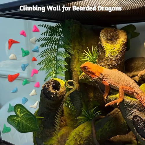 46PCS Glow in the Dark Bearded Dragon Rock Climbing Holds,Reptile Rock Climbing Wall,Bearded Dragon Enrichment Toys,Bearded Dragon Tank Accessories,Climbing Wall Grips for Bearded Dragon,Gecko,Lizard
