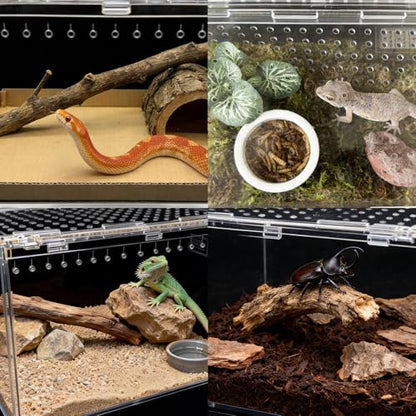 Reptile Terrarium 7.9"x 5.9" x 3.9" Small Gecko Tank Acrylic Snail Terrarium Hermit Crab Tank Spider Enclosure for Scorpion Insect Isopods Invertebrates