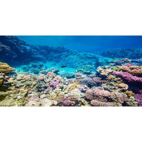 AWERT 30x18 inches Aquarium Background Coral Reef Tropical Fish Undersea Fish Tank Background Polyester Background - size: 30 x 18 in