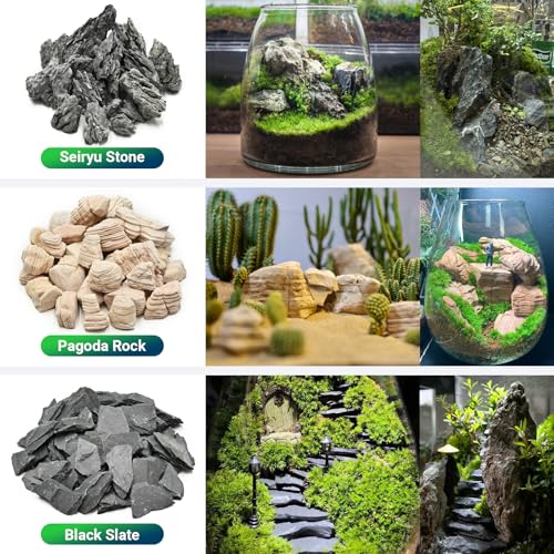 Natural Rocks Dragon Stone 1-2.5 Inches Decorative Rocks for Miniature Terrariums,Fairy Gardens,Bonsai,DIY Crafts, Aquariums Dioramas & Wargaming-1lb - size: 1lb(1-2.5Inch)