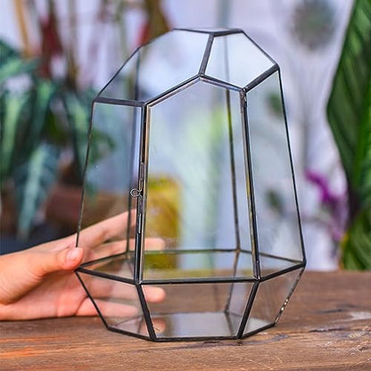 NCYP Close Geometric Glass Terrarium with Door - 9.8 inches Tall Irregular Planter for Succulents, Small Cacti, Modern Home Garden Tabletop Decor, Black, Handmade (Plants NOT Included) - size: 7.9x6.9x9.8inches