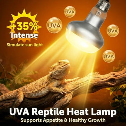 150W Reptile Heat Lamp, 2 Pack Day & Night Basking Lamp Combo, UVA Daylight Heat Bulb & Infrared Red Night Heating Light, Terrarium Heat Lamps for Reptiles, Bearded Dragon, Lizard, Chicken