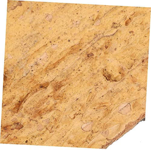 POPETPOP 6pcs Cork Bark Decorative Background for Reptile Tanks and Aquariums Natural Aesthetic Decor for Turtles Lizards and Snakes Easy to Install No Maintenance Required