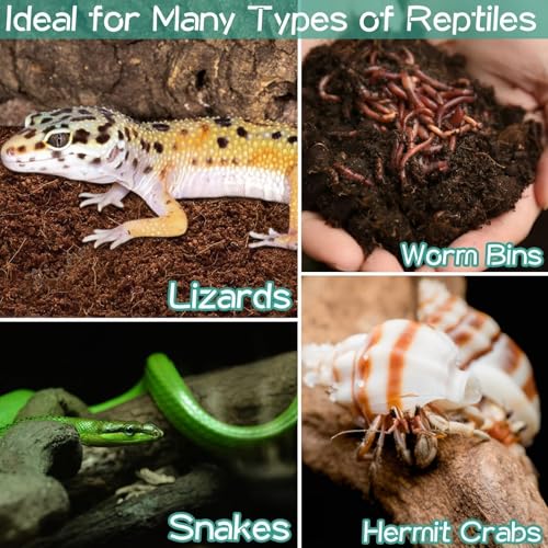 Halatool 1.4LB Coconut Fiber Substrate for Reptile Bedding, Natural Compressed Coconut Husk Substrate for Snake Tarantula Enclosure Tortoises Habitat Spider Leopard Gecko Tank - color: 1 pack