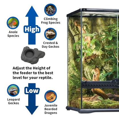 Pangea Black Silicone Gecko Feeding Ledge & 100 .5oz Small Plastic Food & Water Cups Bundle
