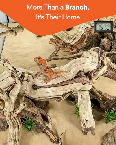 3Pcs Bearded Dragon Wood Branch, Large 14-17 Inch Reptile Wood Logs for ClimbingTerrarium Habitat Decor for Geckos, Chameleons, Frogs & Spiders - size: 1Pcs