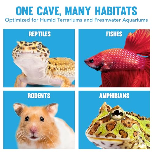 JOR Axolotl Cave, Coconut Shell Hideout and Resting Tunnel, Shelter for Pleco, Crabs, Fish, Turtles, Geckos, Tank Décor, 5” x 3”, 1 Pc Per Pack