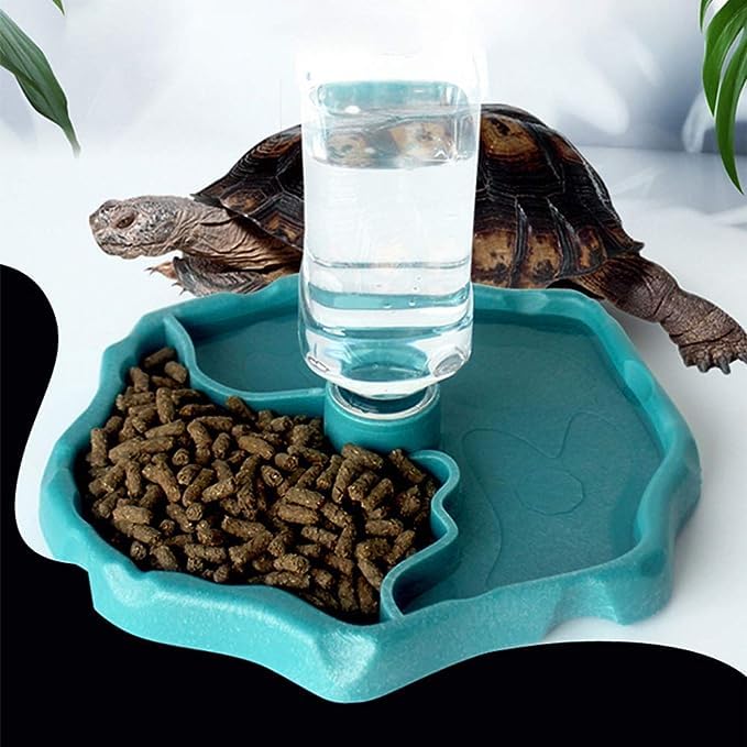 Terrarium Bowls Reptile Water Dish Tortoise Water Bowl Reptile Feeding Dish Refilling Reptile Turtle Food Water Automatic Feeders Waterer Dispenser Bottle Feeding Dish for Lizard Chameleon