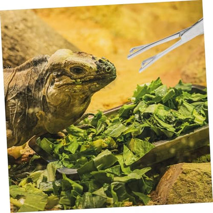 POPETPOP Stainless Steel Reptile Feeding Tongs Durable Long Handle Tweezers for Lizards Snakes Aquarium Use Grip Feeding Tool for Terrariums