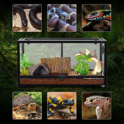 WACOOL TERRA Large Reptile Tank 25 Gallon, 360°Full Vision Glass Reptile Terrarium with Top Mesh Lid for Beaded Dragon Lizard Gecko Snake Hermit Crab Use, 30"(W) X 12"(D) X 16"（H）